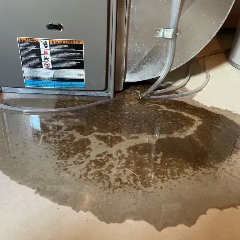 Appliance Leak Cleanup in Vamo, FL